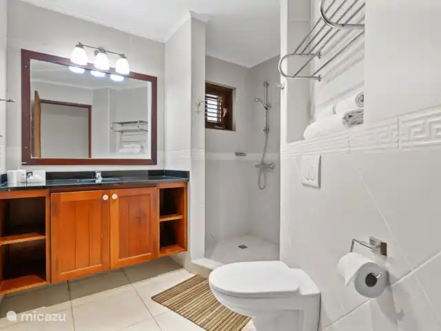 La Elegancia Ocean front pearl #6 huren in Bonaire, Bonaire, Kralendijk - appartement badkamer 2