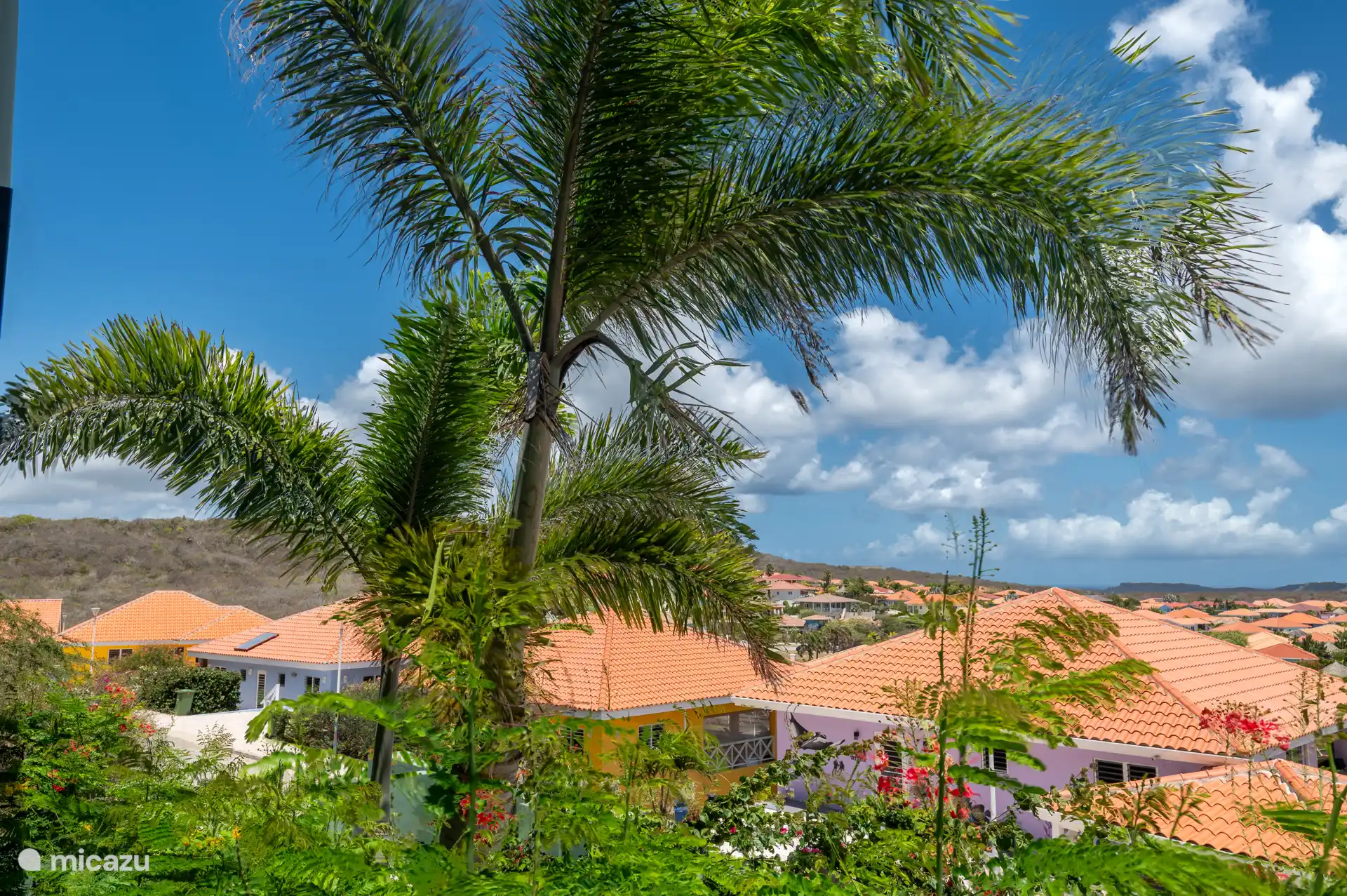 Garten und Palmen. Was für eine Oase