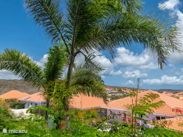 Villa Bella Vista *Uniek uitzicht* huren in Curaçao, Banda Abou (west), Fontein - villa Tuin en palmen. Wat een oase