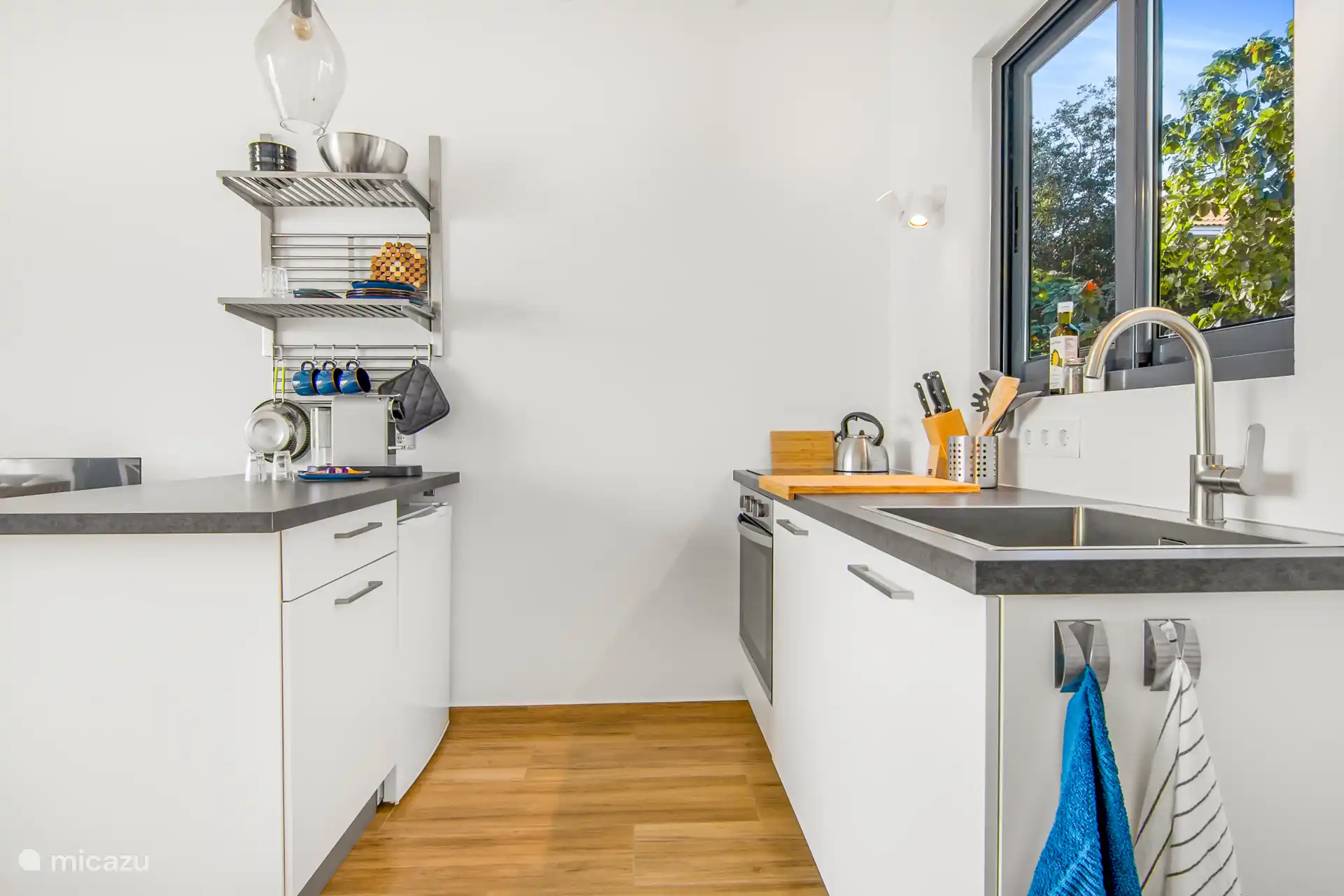 Luxurious open kitchen with dishwasher and 4 burner induction