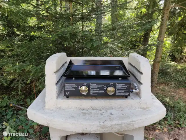 Lujosa casa de vacaciones del siglo XIX en Francia, Puy-de-Dôme, Buxières-sous-Montaigut - casa vacacional Plancha BBQ