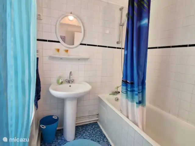 Lujosa casa de vacaciones del siglo XIX en Francia, Puy-de-Dôme, Buxières-sous-Montaigut - casa vacacional Baño