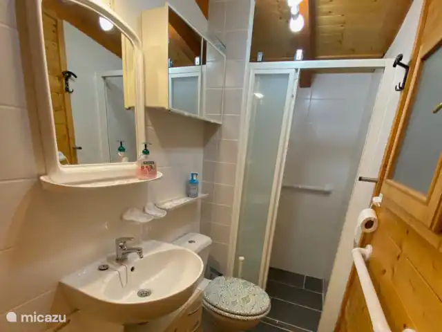 Chalet Porlezza 251 | Italie, Lacs italiens , Porlezza - chalet Salle de bain 251.1
