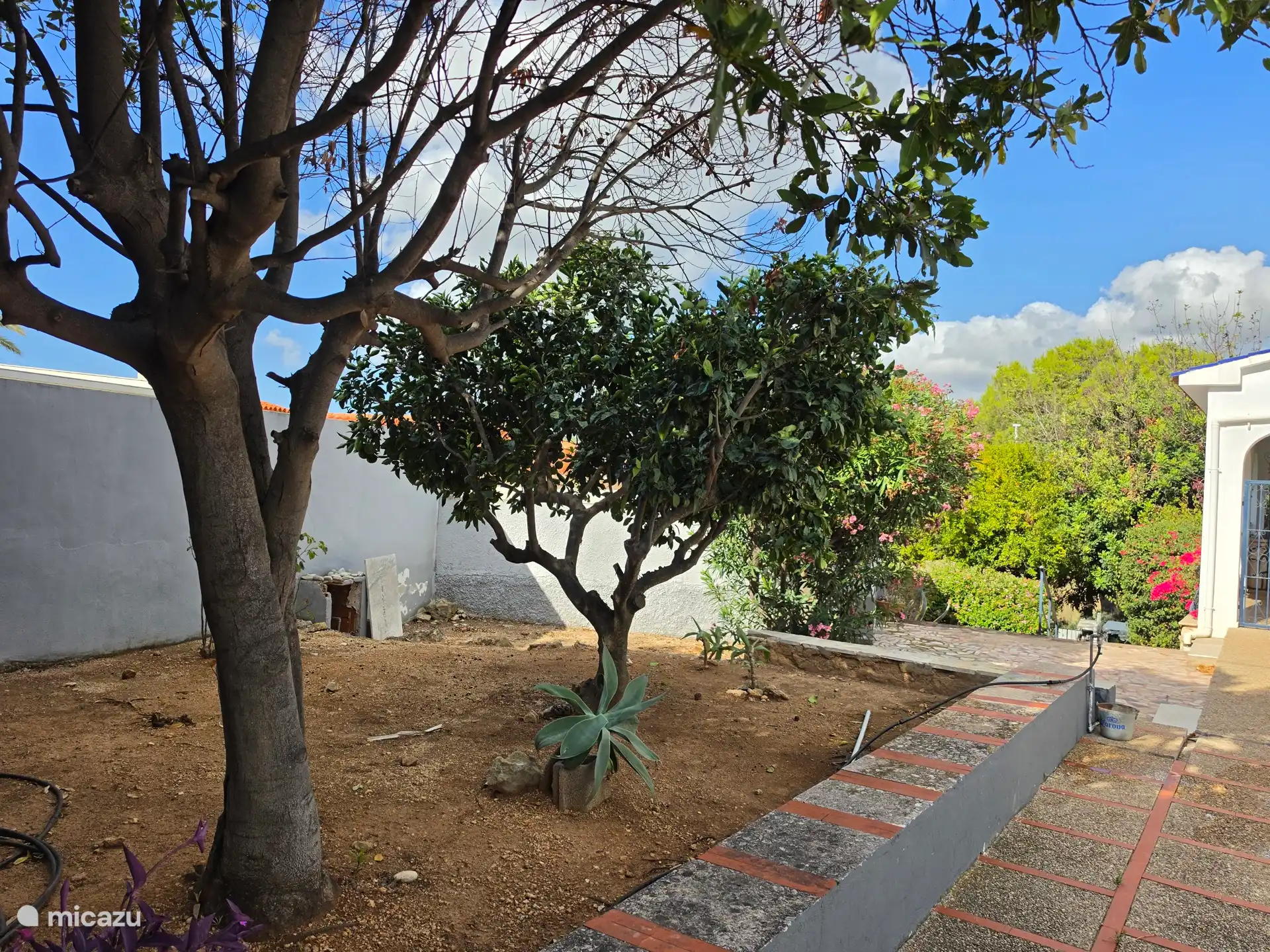 Jardín delantero