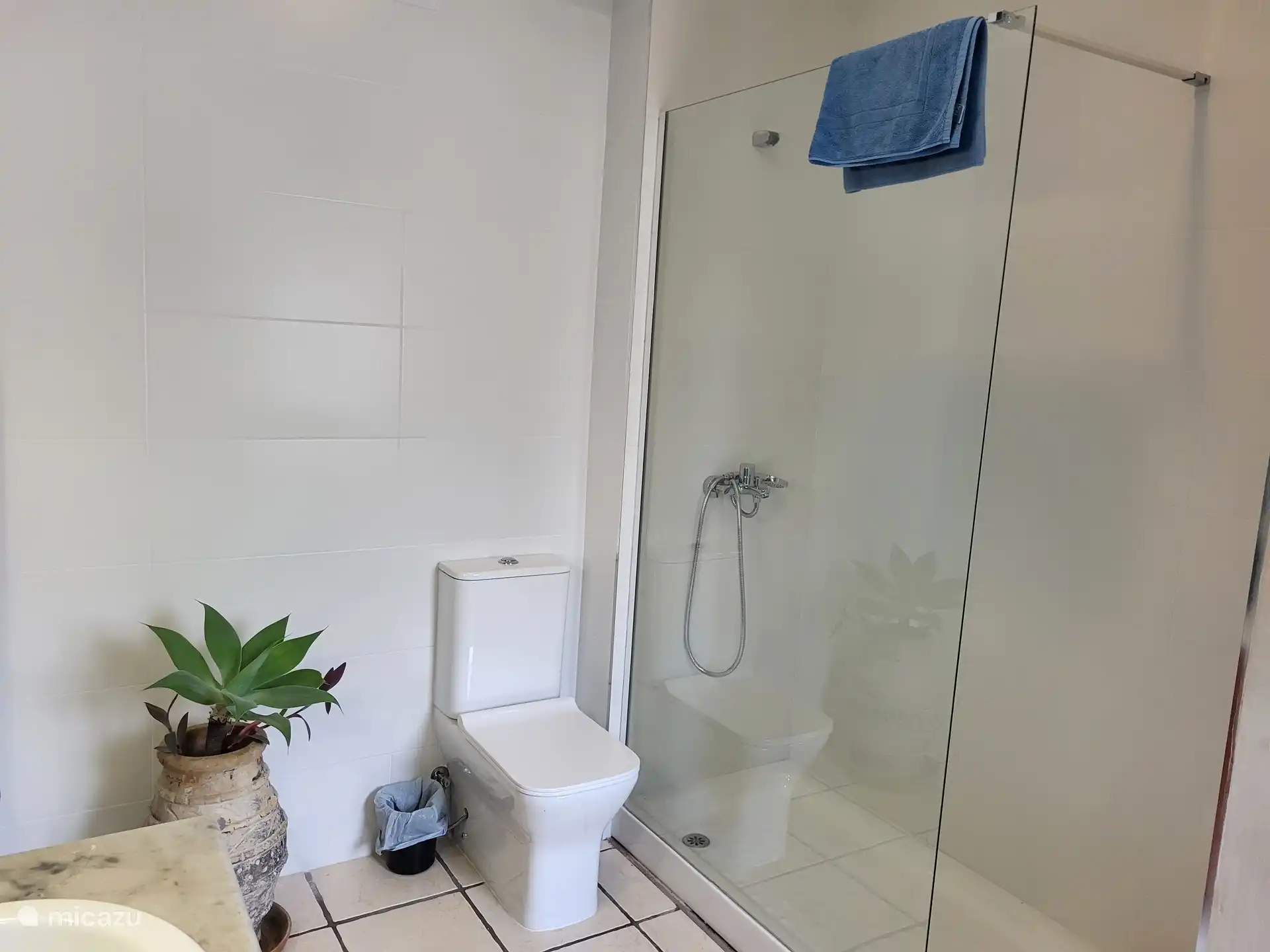 Hoofdslaapkamer en suite douche