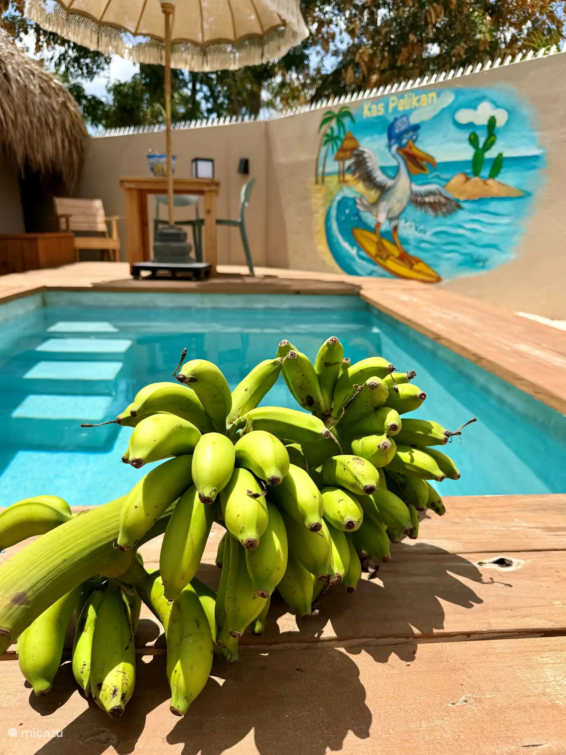 Geplukt uit onze eigen tuin. Zoete, zonrijpe bananen die wachten op je ontbijt