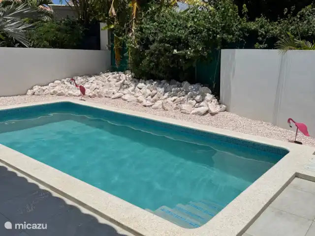 Location de Vacances Curaçao, Banda Abou (ouest), Fontein, villa - Casa De Los Sueños Piscine avec douche extérieure