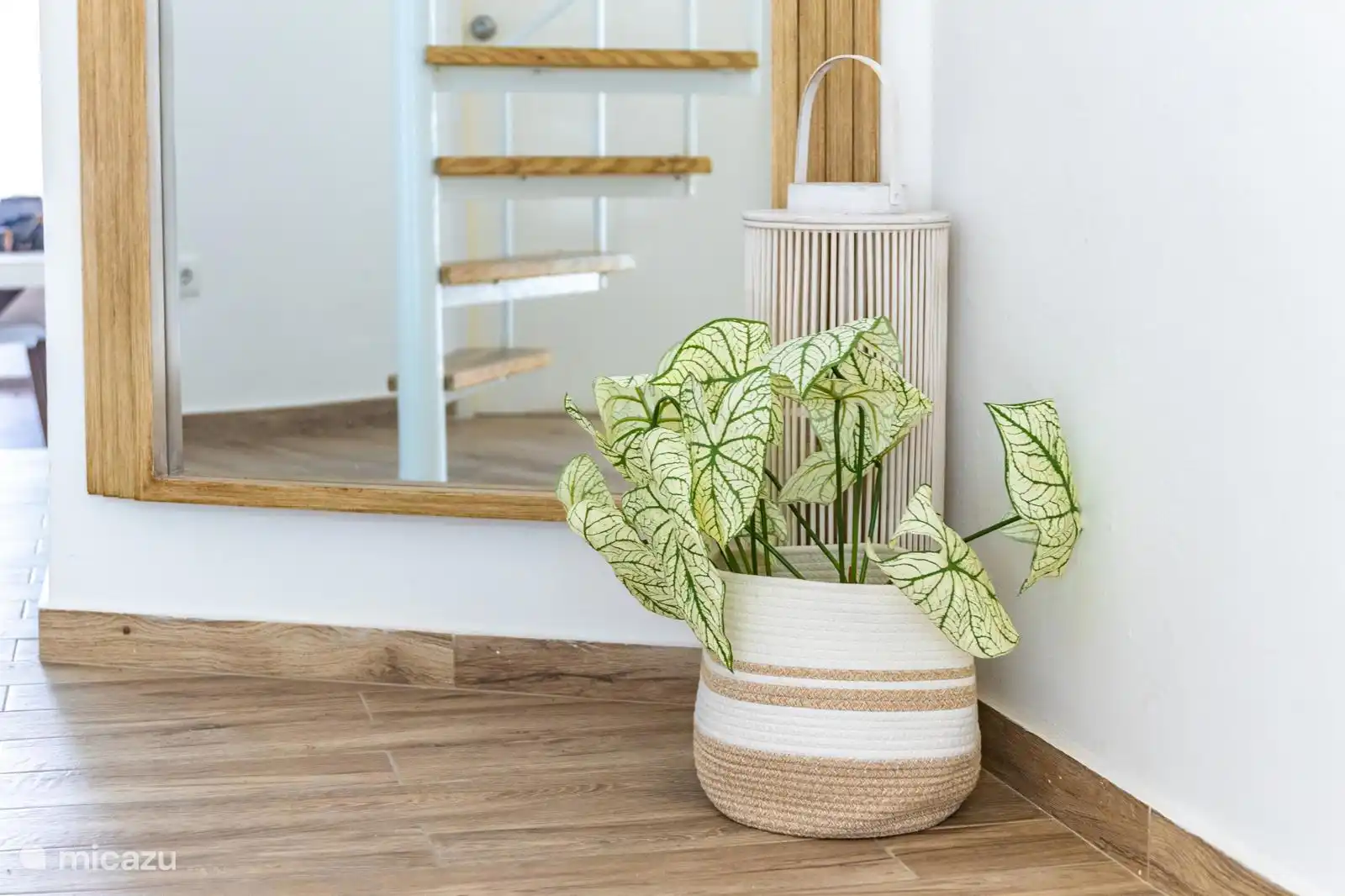 plantas dentro de la casa.