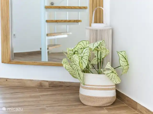 SOMETHING ELS huren in Curaçao, Banda Ariba (oost), Marie Pampoen - vakantiehuis plantas dentro del a casa.