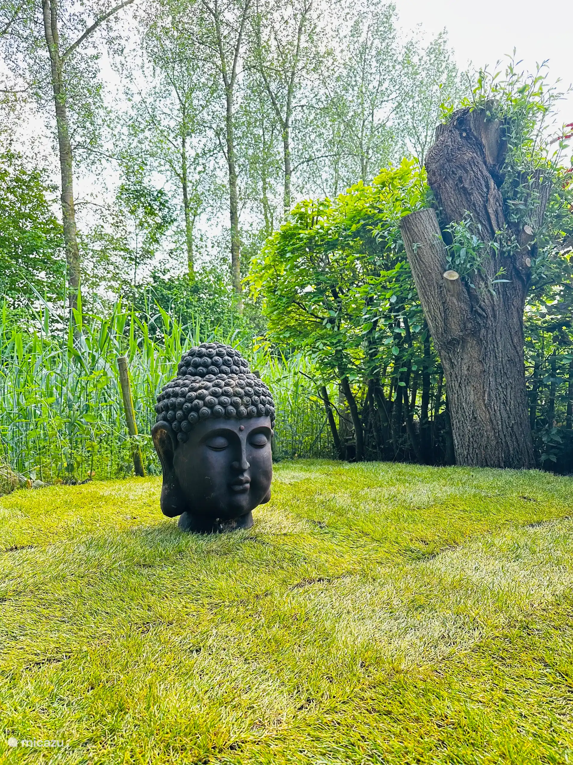 Gartenblick vom Vordach mit Außenküche 
