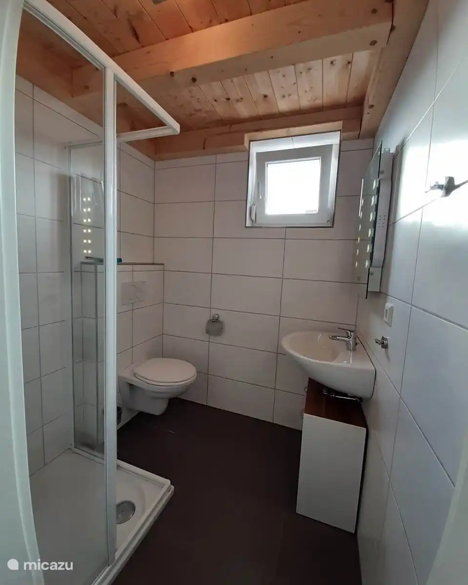 Salle de bain avec douche, lavabo avec rangements et WC