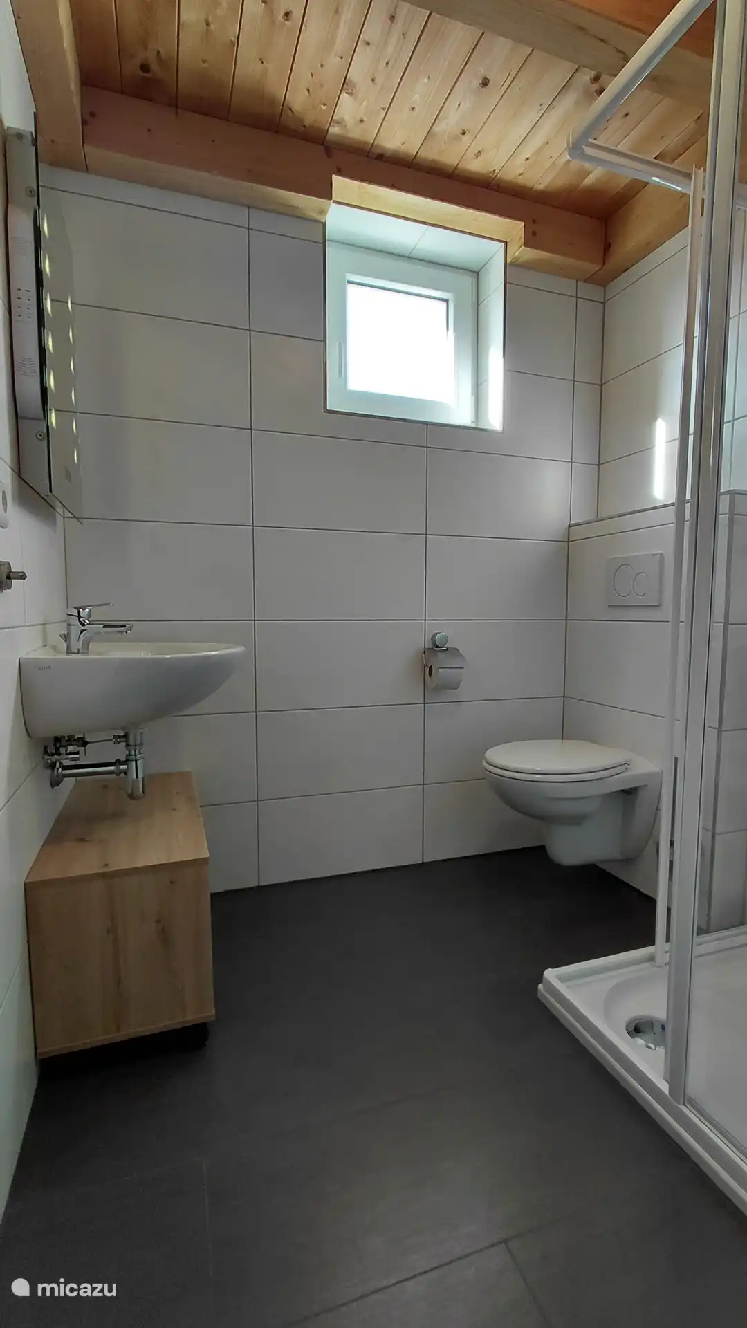 Baños con ducha, lavabo con espacio de almacenamiento y inodoro