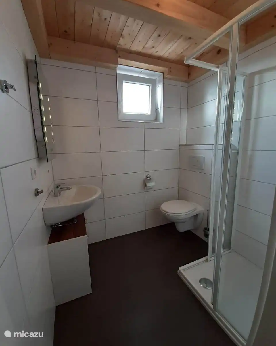 Salle de bain avec douche, lavabo avec rangements et WC