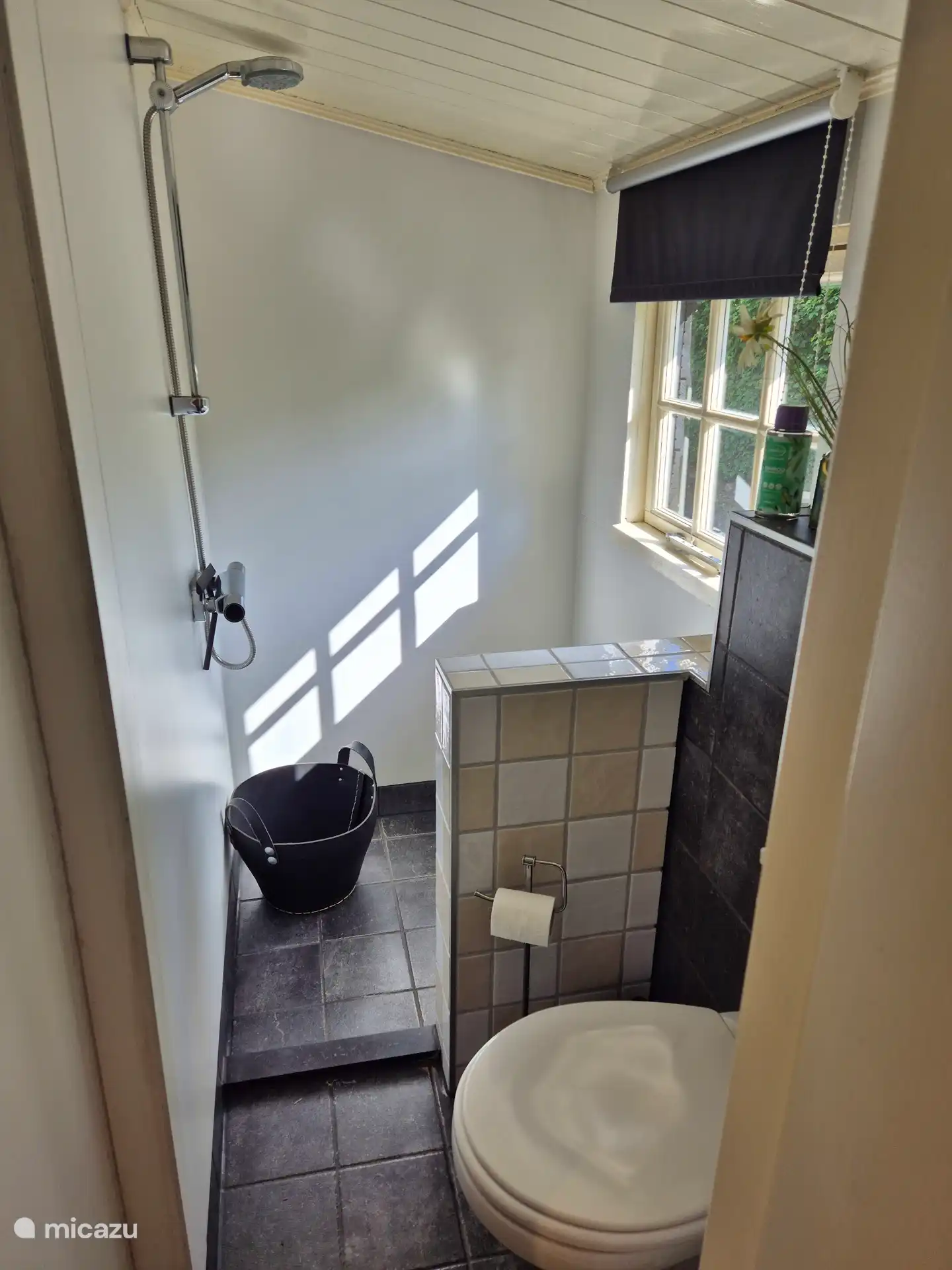 la douche avec WC comme au bon vieux temps 