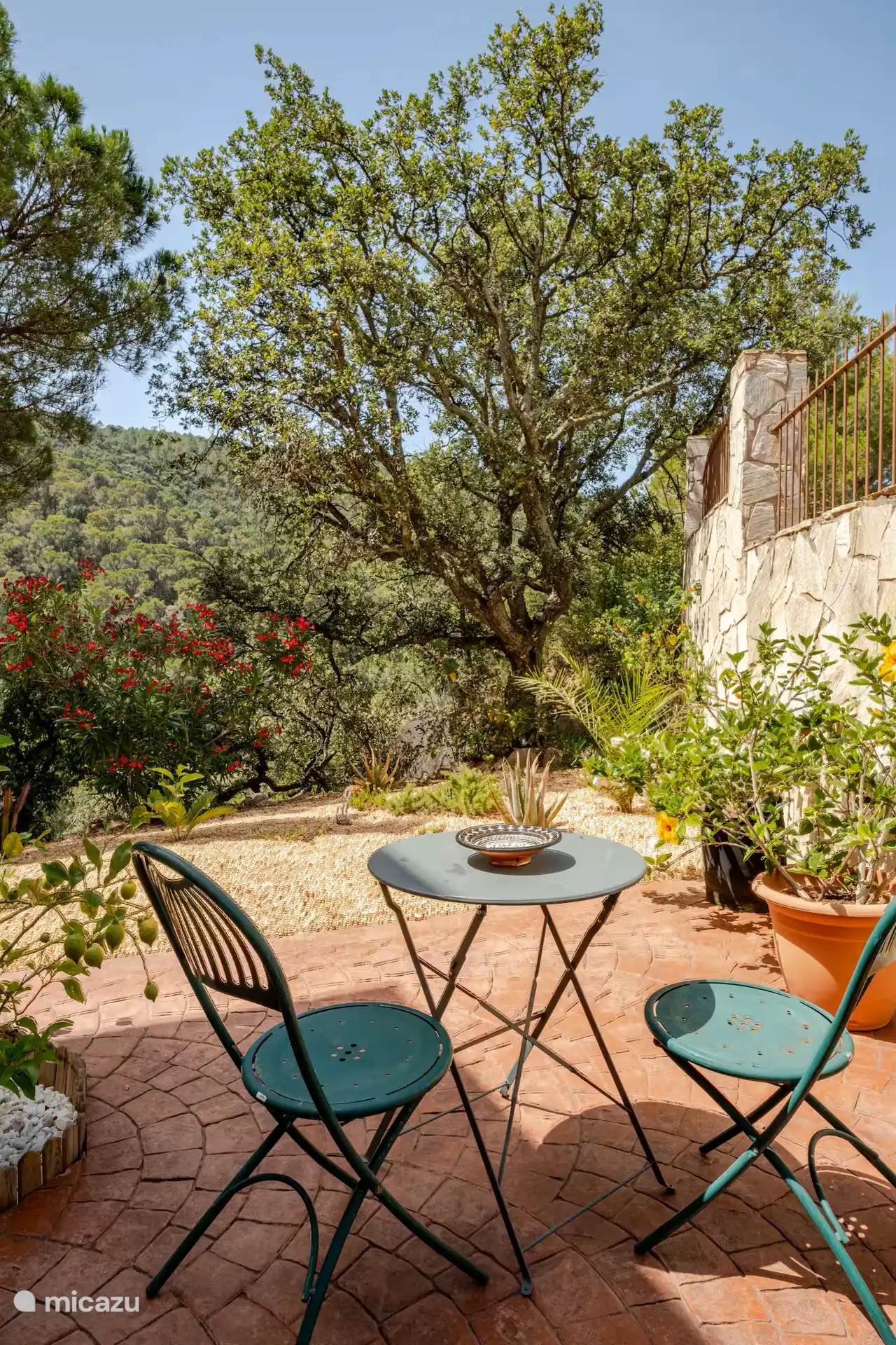 Jardin méditerranéen