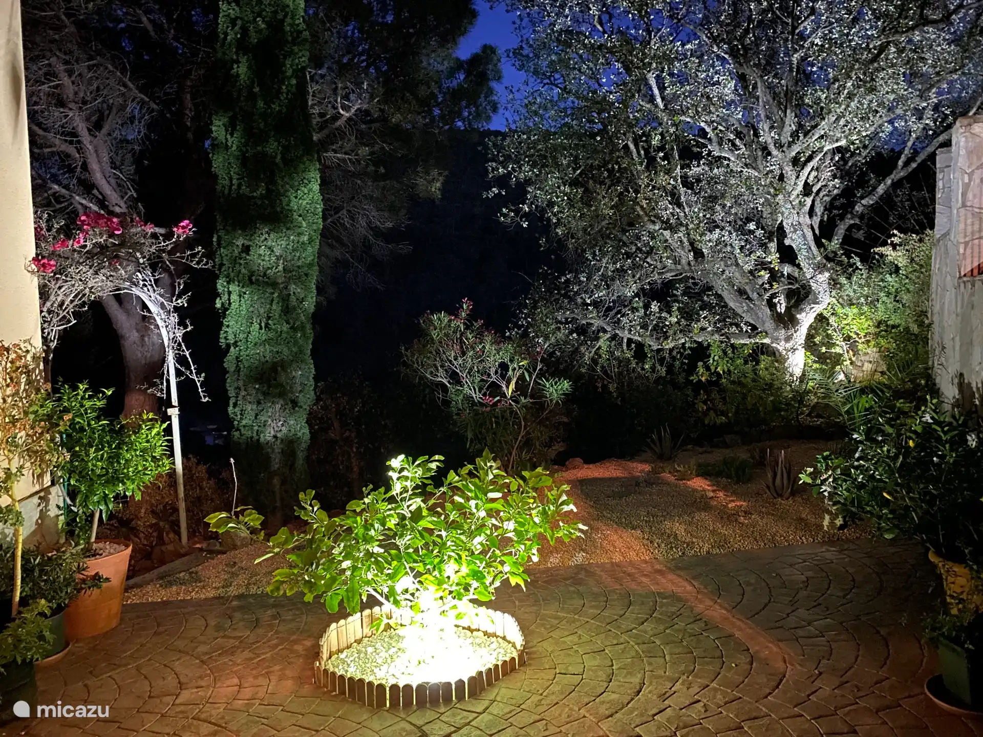 Der beleuchtete mediterrane Garten