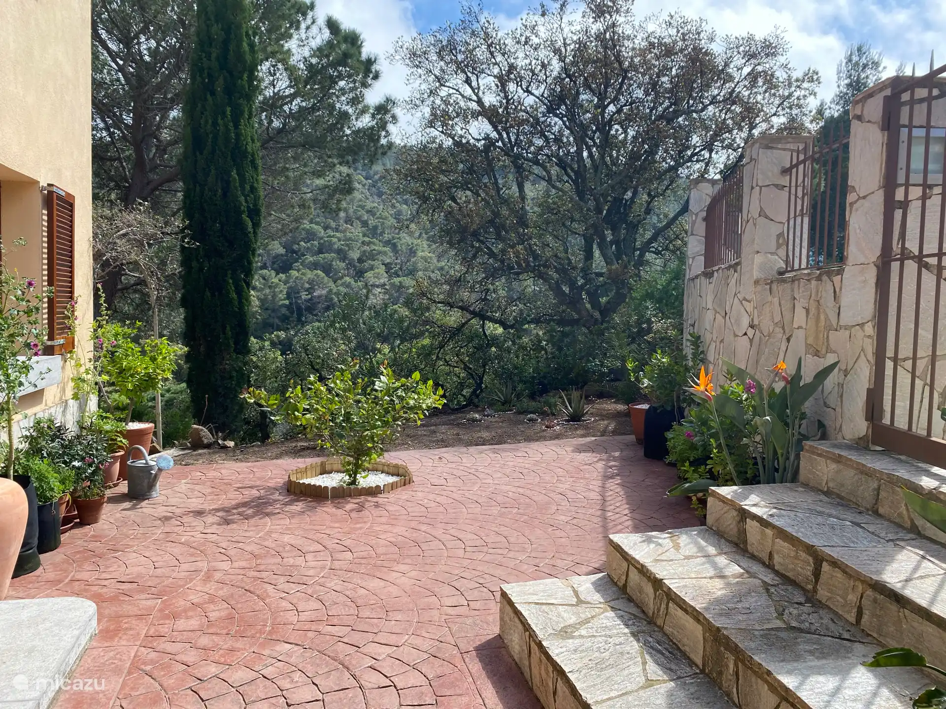 Mediterraner Garten mit Zitronenbaum