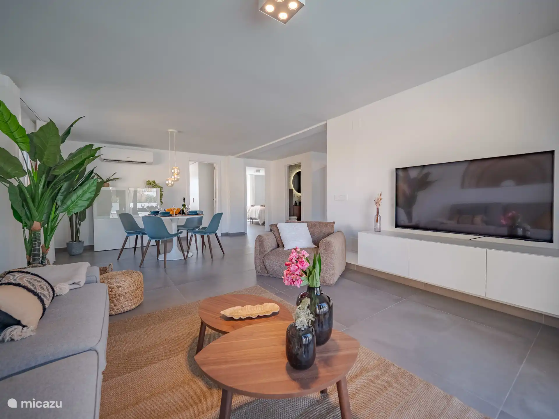 Salon avec télévision en continu