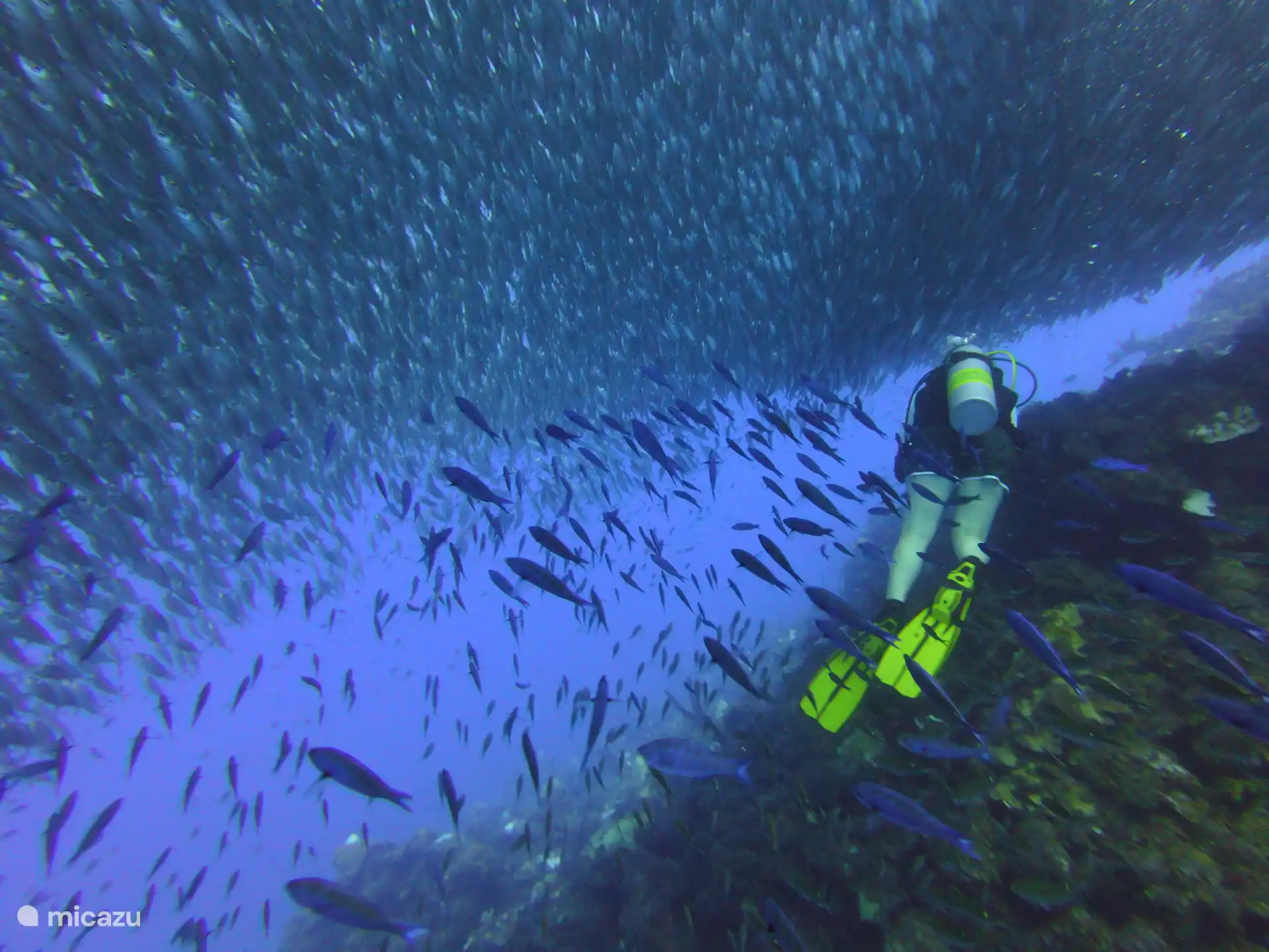 Playa Porto Marie, Biteball