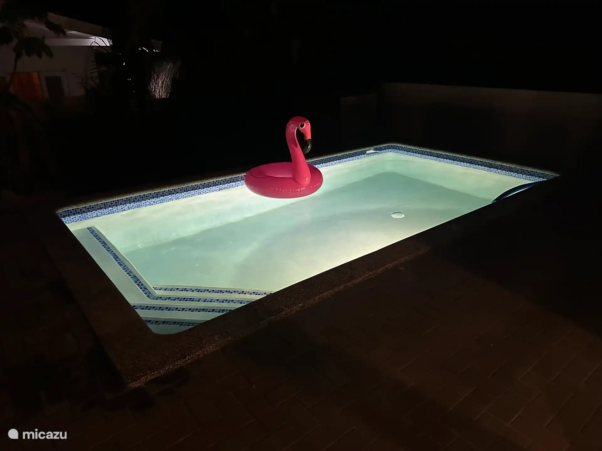 Zwembad 3,0 x 5,5 m, diepte 1,4 m