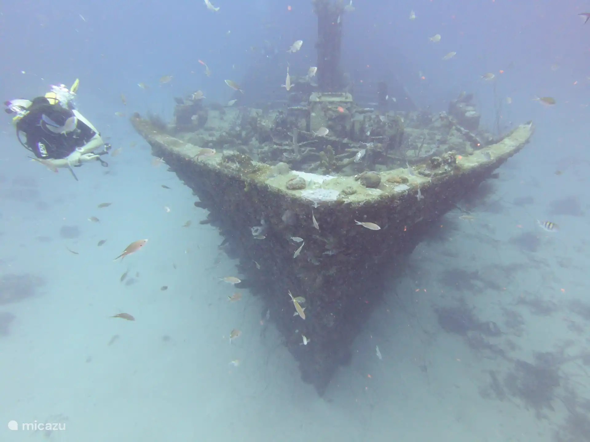 Superieure producent