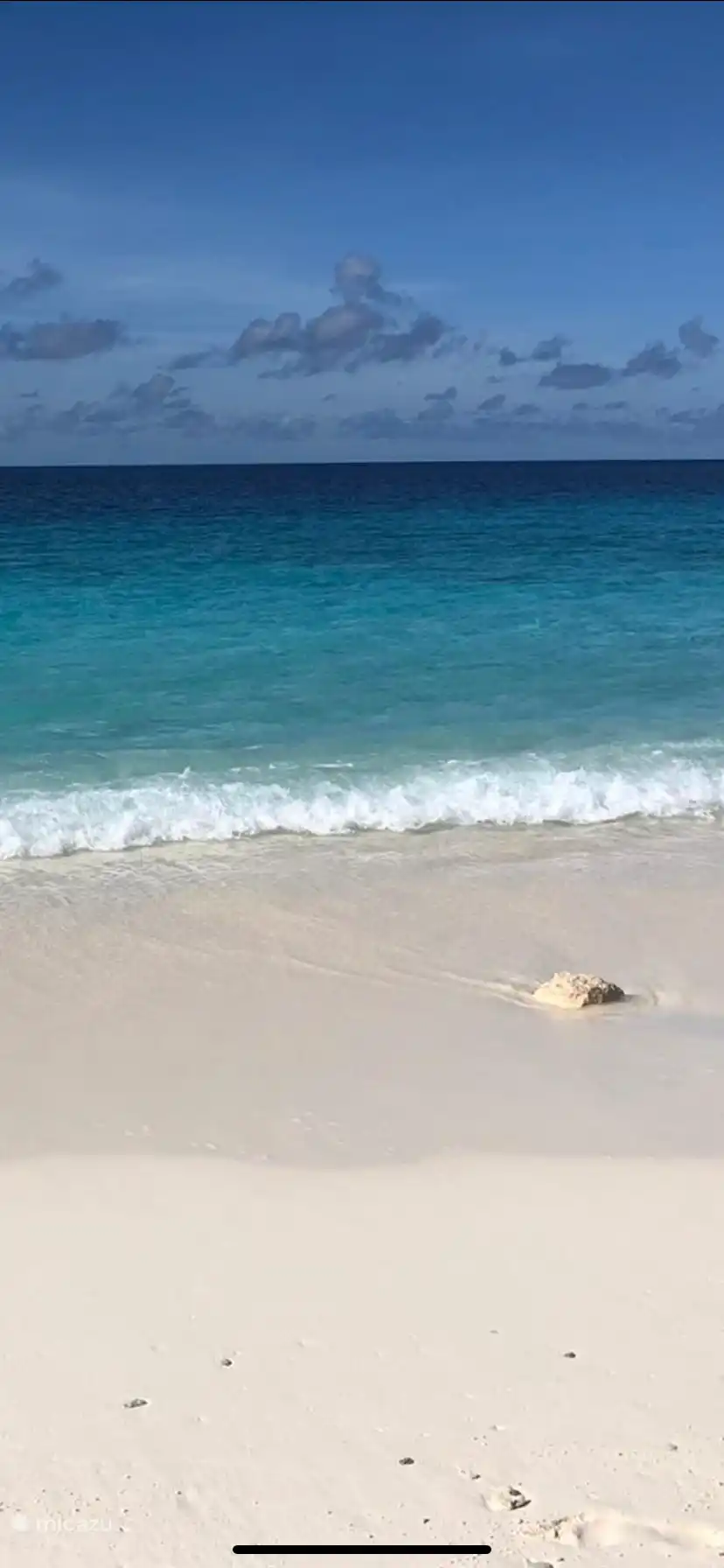 Colores del Caribe