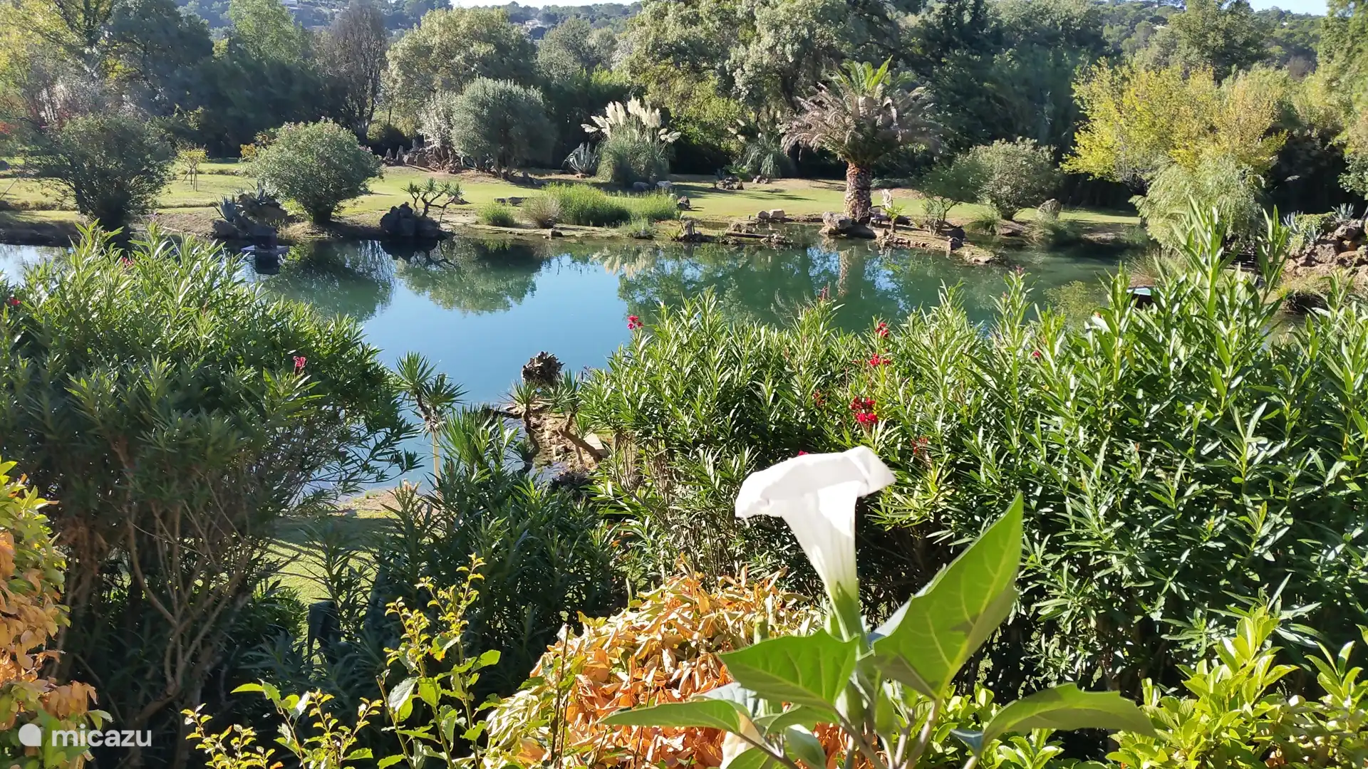 gîte / hütte, Trans-en-Provence, Var, Frankreich -  DOMAINE DE ST. AMOUR / AU LAC