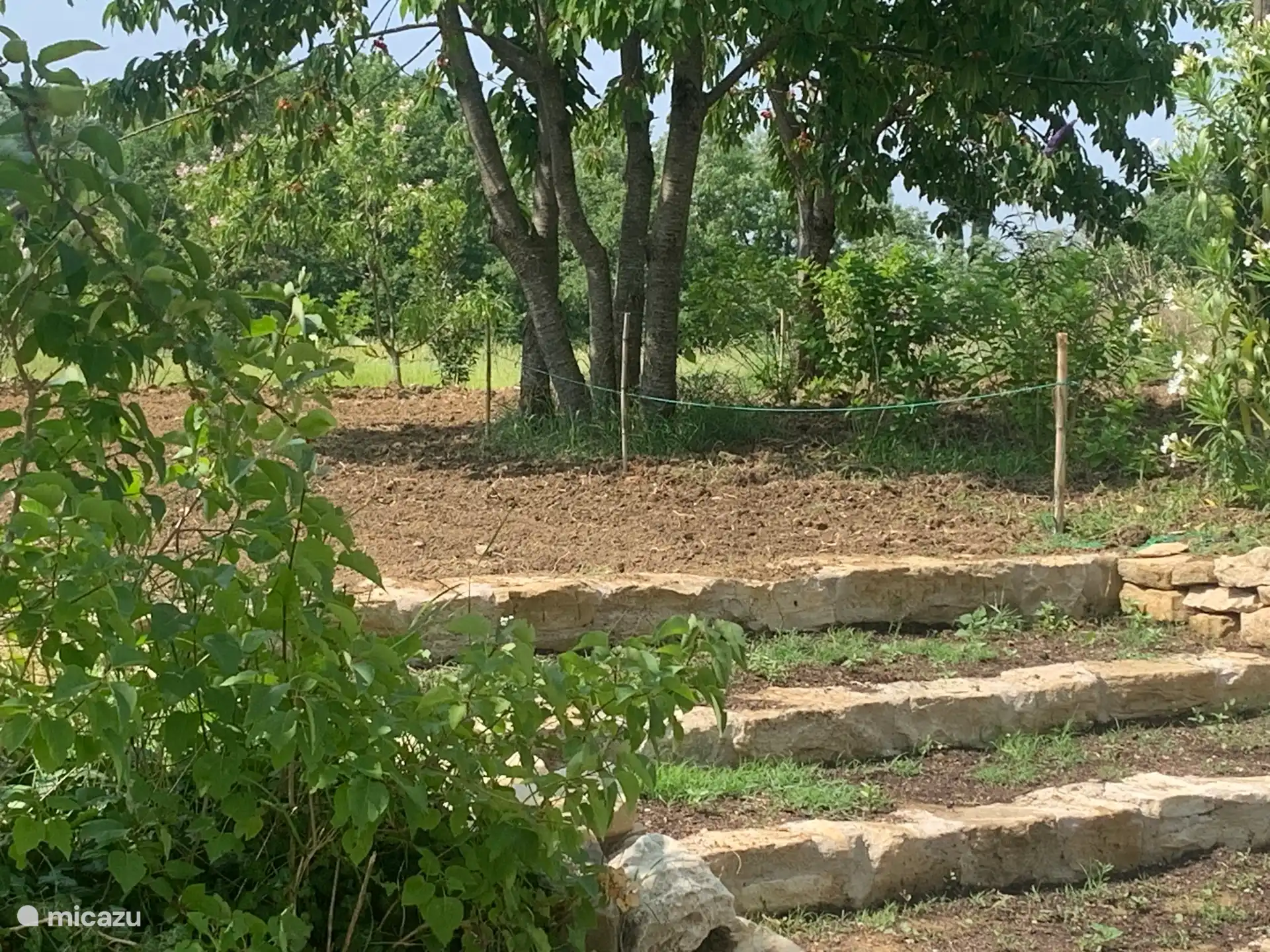 Trap  naar de voortuin