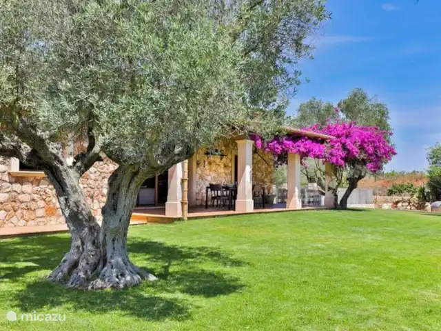 Villa Ailen | Espagne, Majorque, Felanitx - maison de vacances véranda