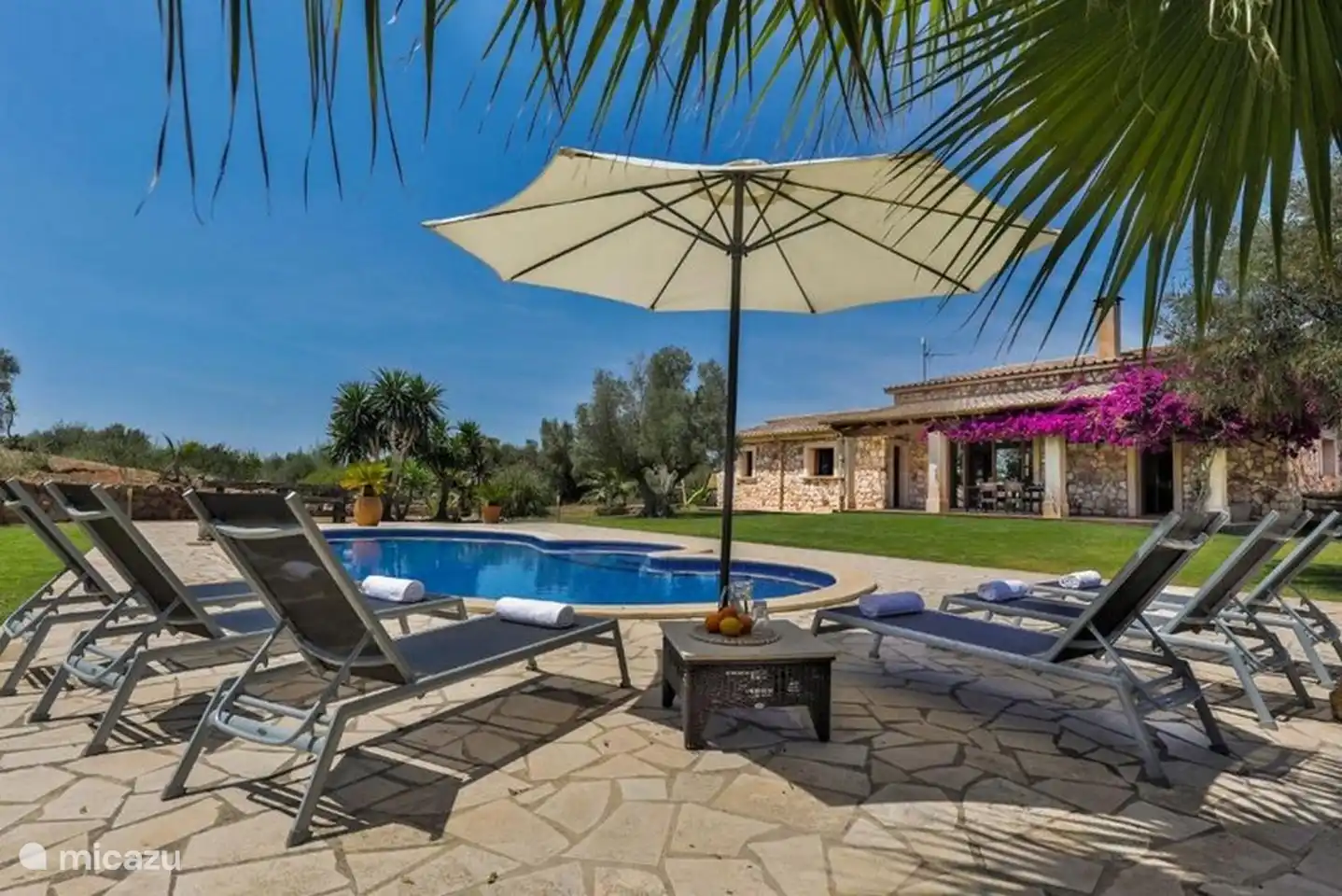 Sonnenliegen am Pool