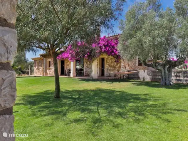 Villa Ailen | Espagne, Majorque, Felanitx - maison de vacances villa Ailen