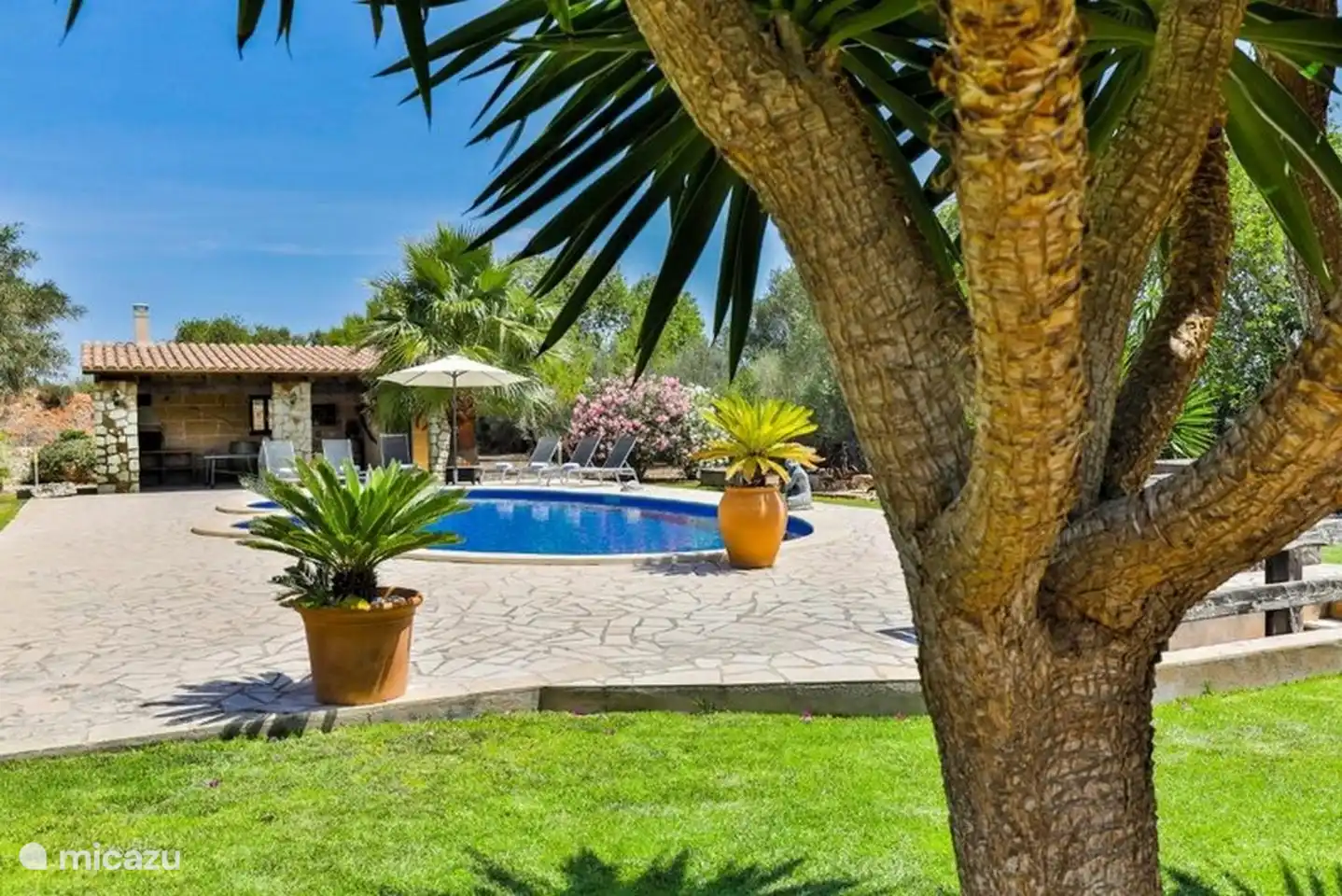 Schwimmbad und Terrasse