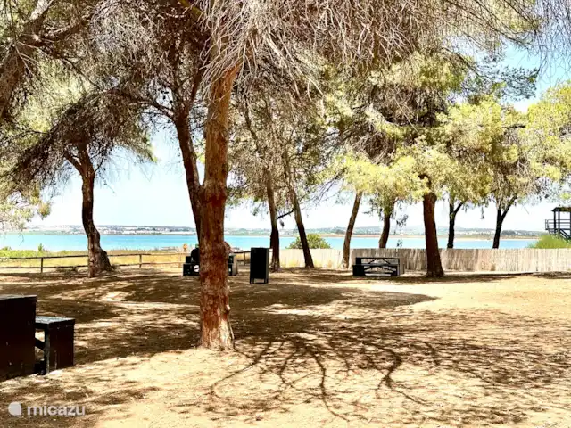 Casa-Anna | Espagne, Costa Cálida, San Javier - appartement Aire de pique-dans la réserve naturelle : 
« Laguna Salada de la Mata »