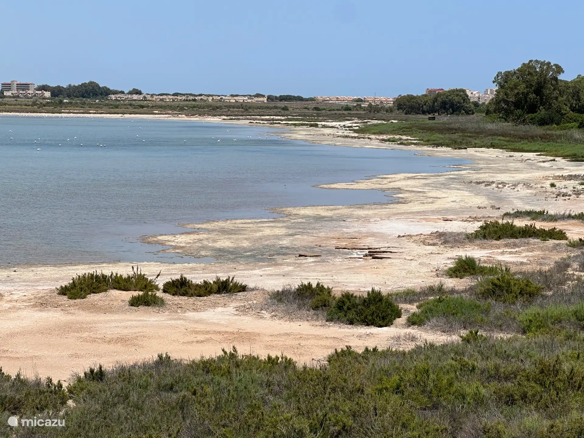 Senderismo en la reserva natural: 
Laguna Salada de la Mata