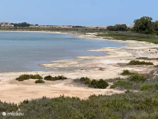Casa-Anna | Espagne, Costa Cálida, San Javier - appartement Randonnée dans la réserve naturelle : 
« Laguna Salada de la Mata »