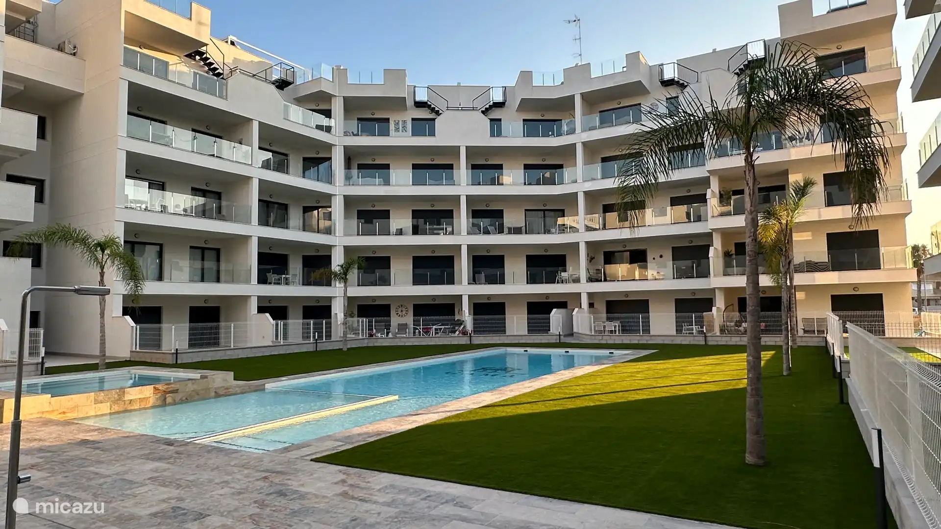 Swimming pool - Sunbathing area - Palm trees 