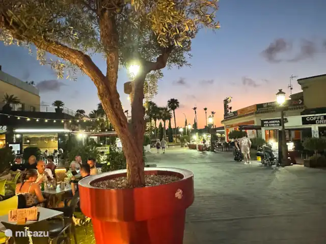 Casa-Anna | Espagne, Costa Cálida, San Javier - appartement Av. Rio Nalón
Restaurants confortables, terrasses, cafés, boutiques.