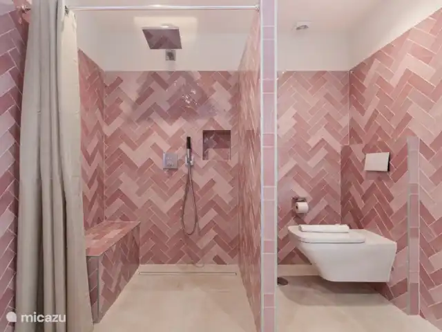 Luxe groot huis, Guadalmar Malaga huren in Spanje, Costa del Sol, Málaga - villa ruime douche en wc - rolstoel vriendelijk - aansluitend slaapkamer Vivianna