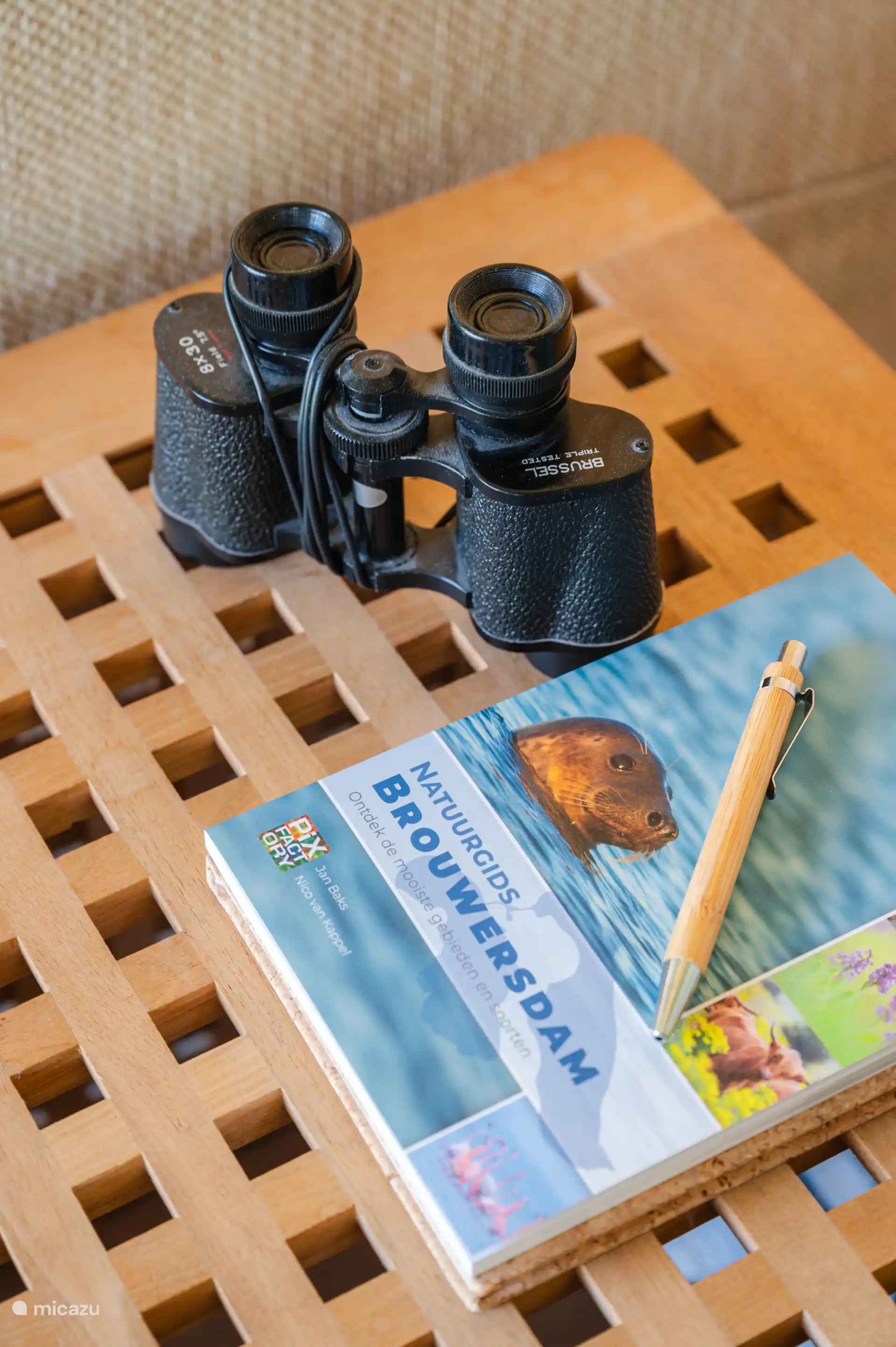 Discover the area with binoculars! 