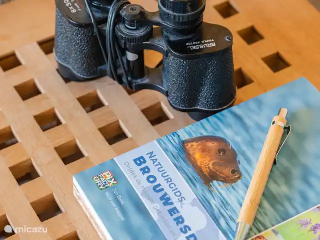 Chalet à louer Zélande « grande maison » | Pays-Bas, Zélande, Westenschouwen - maison de vacances Découvrez la région avec des jumelles !