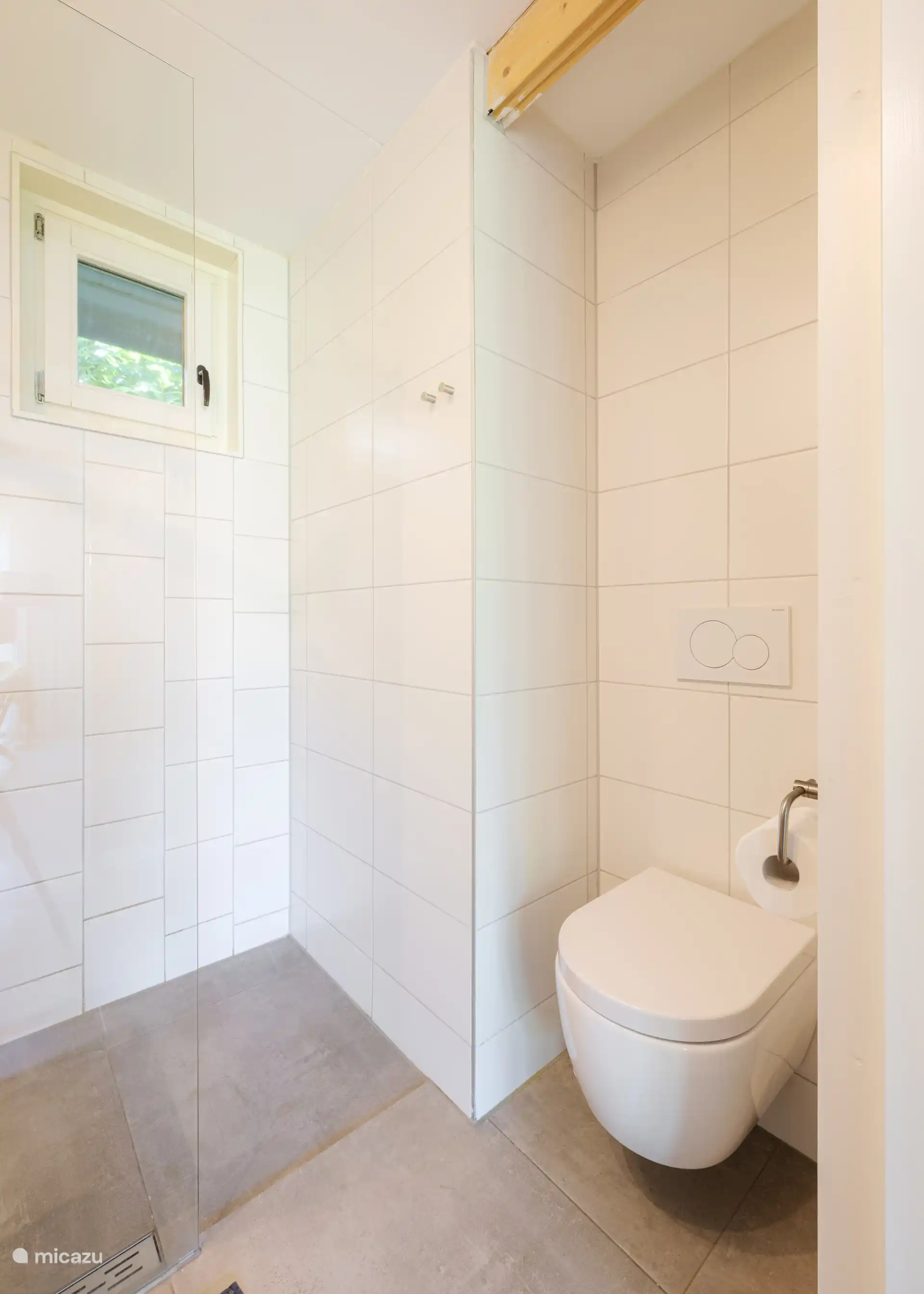 The toilet, in the bathroom