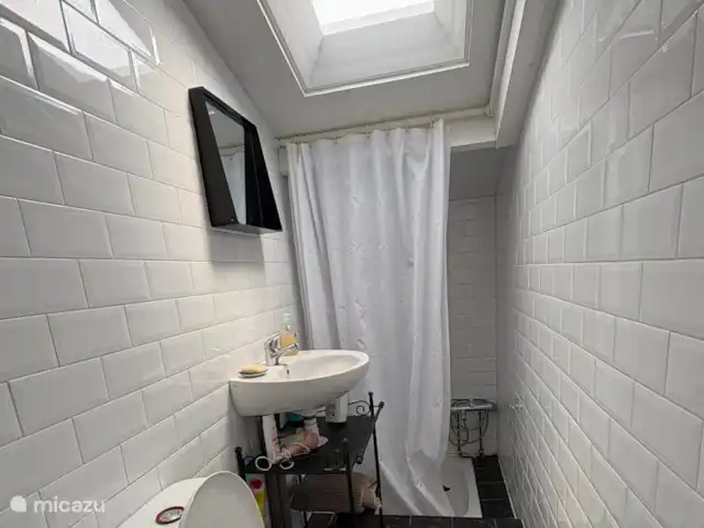 Chalet de Boshut huren in Nederland, Overijssel, Raalte - chalet Badkamer met toilet, wastafel en douche met warm water