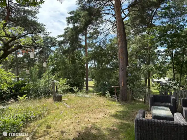 Chalet de Boshut huren in Nederland, Overijssel, Raalte - chalet Unieke plek op de heuvel