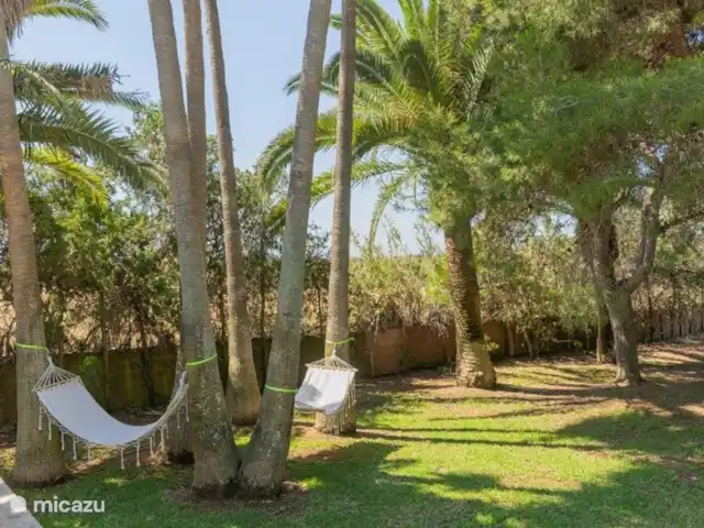 Location de Vacances Espagne, Majorque, Cala d'Or, villa - Villa Jardi Se détendre dans le jardin