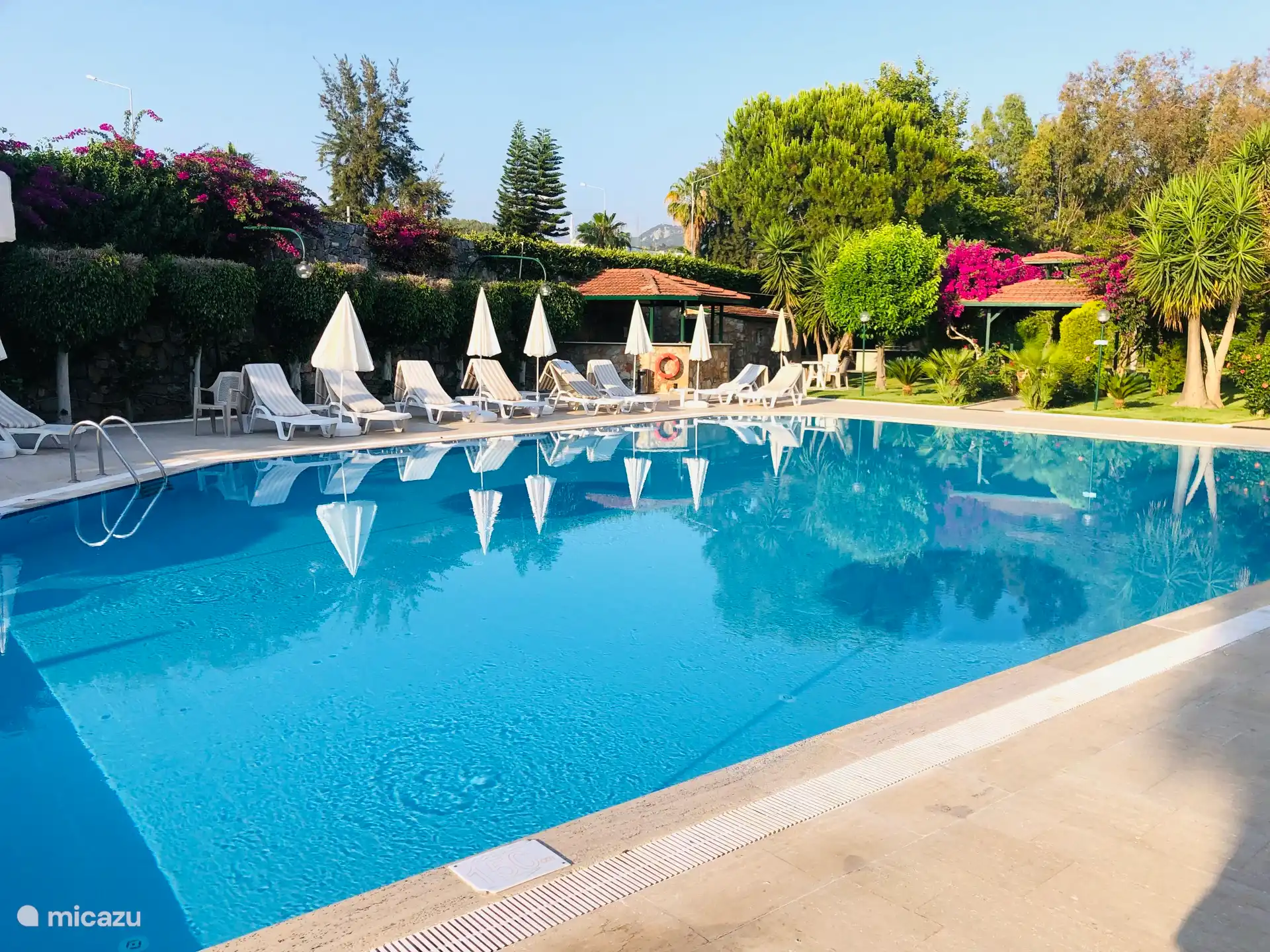 Das Gemeinschaftsschwimmbad, das sich im Park befindet. 