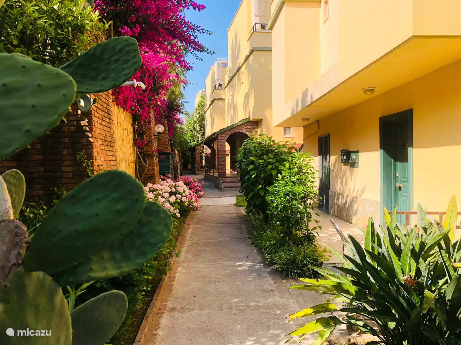 Der Weg zur Villa (das Hintertor),