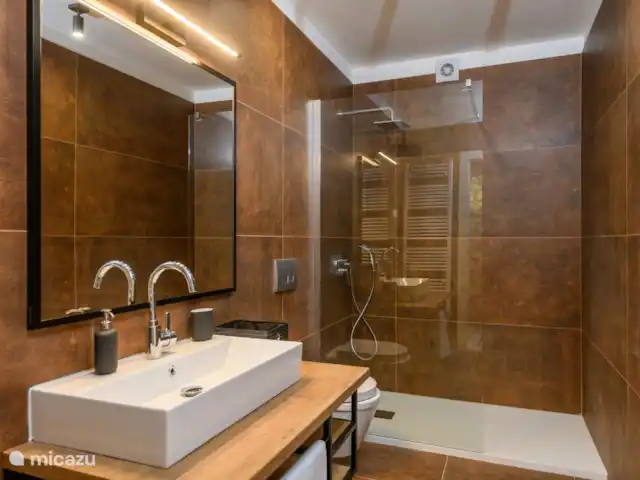 Casa Anónima en Croacia, Istria, Labin - villa baño