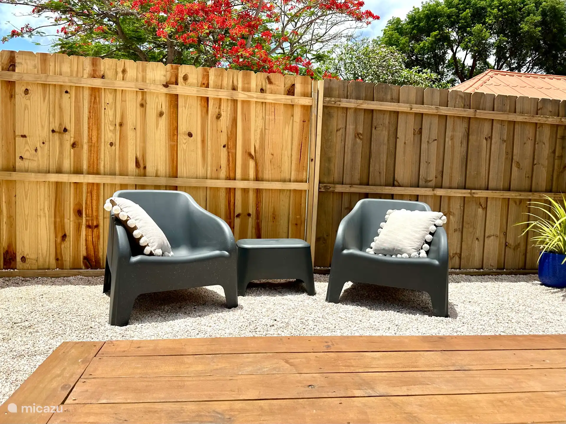 Chaises longues au bord de la piscine