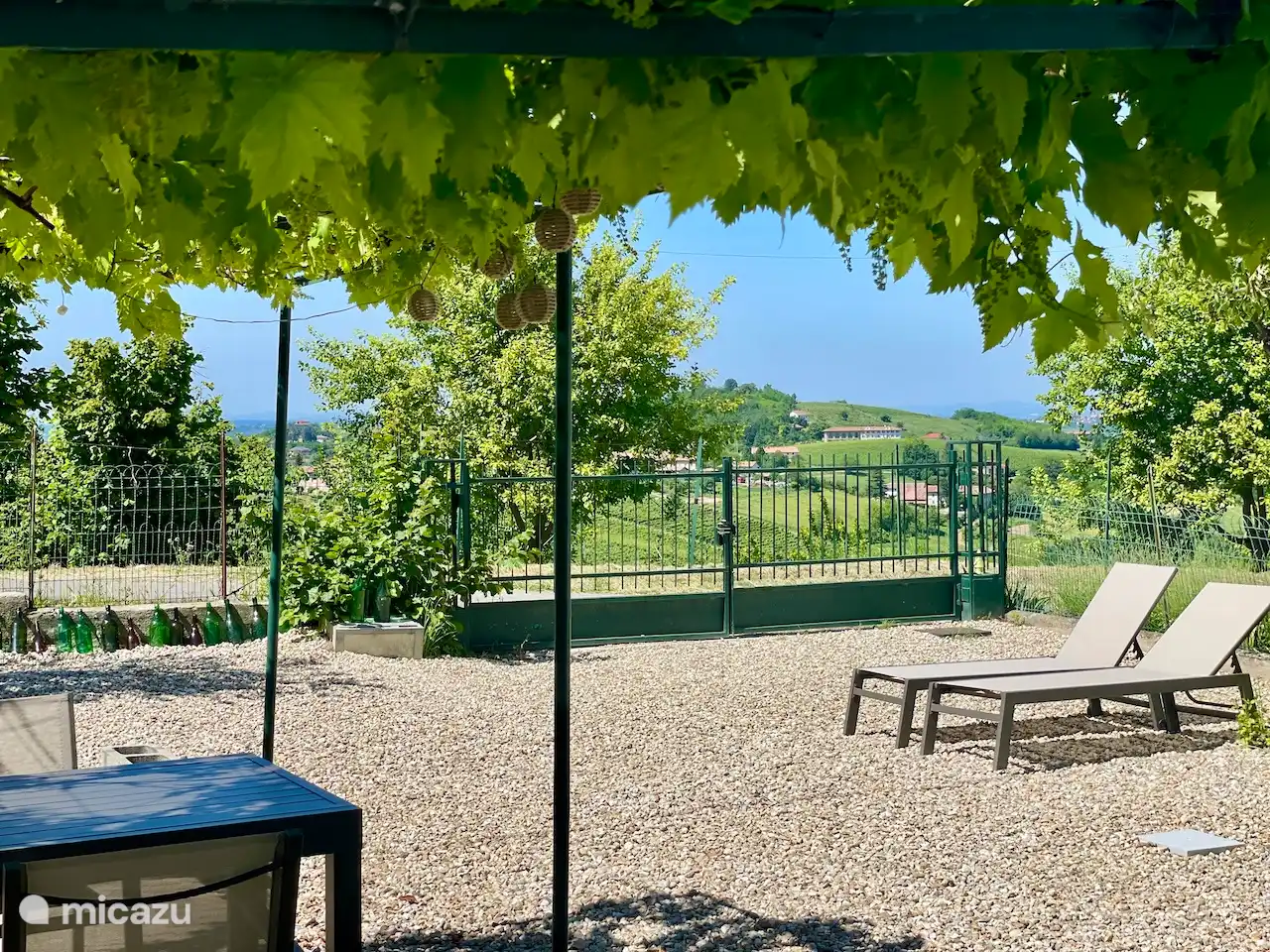 Romantik unterm Weinreben im eigenen Garten