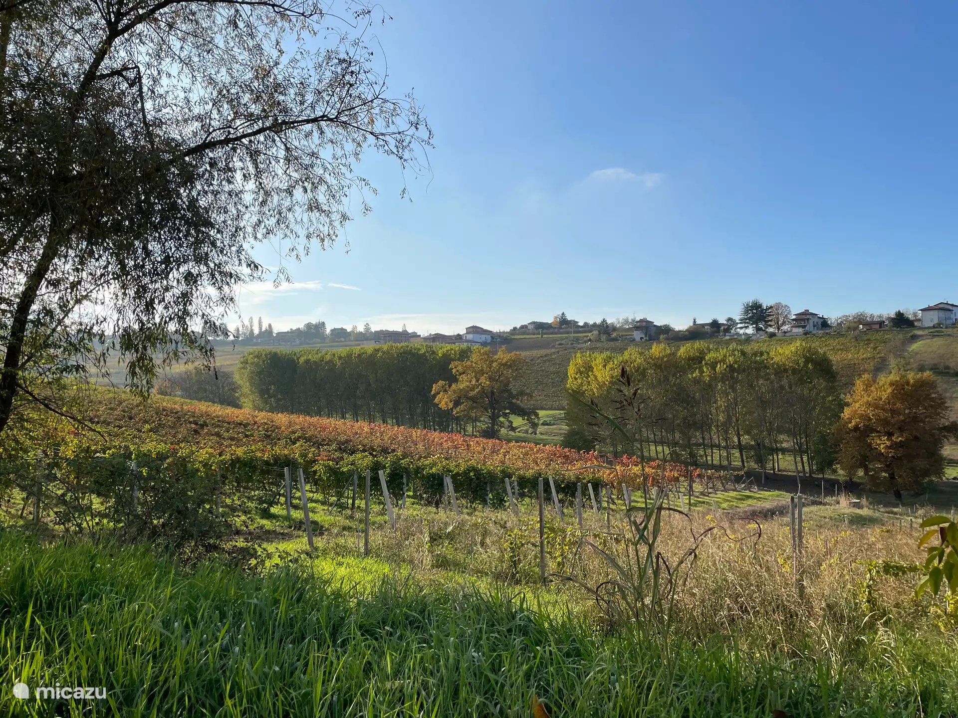 Bunter Herbst. Zeit für Trüffel!